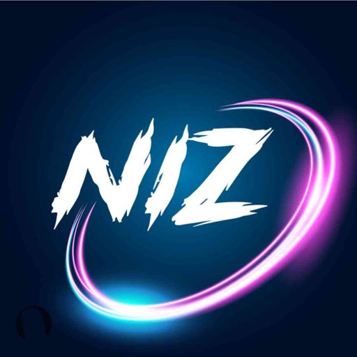 NizGamer